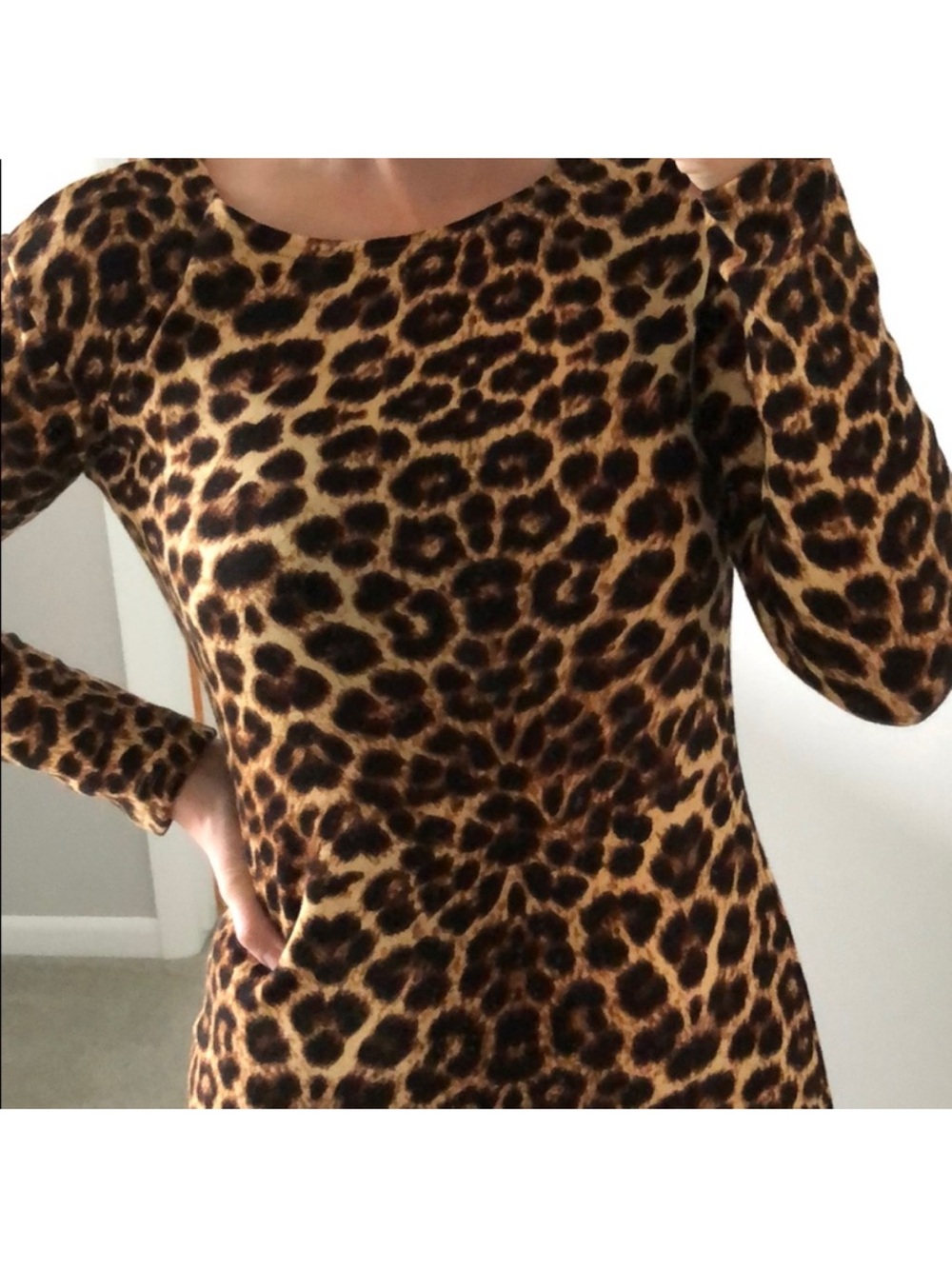 Leopard Print Long Sleeve Dress - Brown & Black - Picture 1 of 7